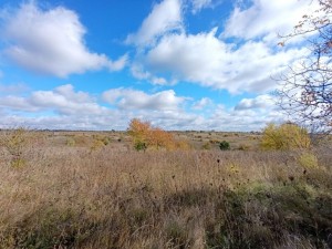 СК Іскра (г. Хмельницкий, Книжківці) - Продається сільськогосподарська ділянка, 3600 $ - АФНУ