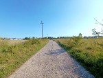 Центральна (с. Лесовые Гриновцы, Хмельницкий район, Східна сторона) - Продається сільськогосподарська ділянка, 5500 $ - АФНУ Центральна (с. Лесовые Гриновцы, Хмельницкий район, Східна сторона) - Продається сільськогосподарська ділянка, 5500 $ - АФНУ