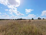 Олешинська (г. Хмельницкий, Видрови Доли) - Продається сільськогосподарська ділянка, 4200 $ - АФНУ Олешинська (г. Хмельницкий, Видрови Доли) - Продається сільськогосподарська ділянка, 4200 $ - АФНУ