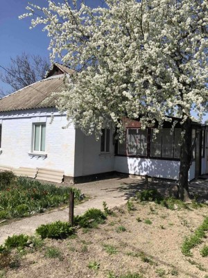 ул. Ярослава Мудрого (с. Фурсы, Белоцерковский район) - Продається будинок, 46000 $ - АФНУ